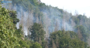 Offenbar neuer Waldbrand in der Sächsischen Schweiz