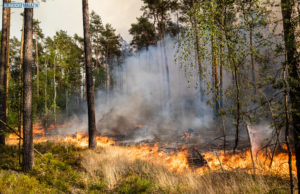 Waldbrände in Mitteldeutschland werden auf der FLORIAN nachbesprochen