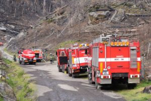 Hrensko- Maennertags-Gruppe loest durch Pyrotechnik grossen Waldbrand aus, Grosseinsatz in der Boehmischen Schweiz – Erster grosser Waldbrand des Jahres