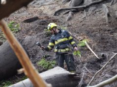Männertagsgruppe löste den Waldbrand in der Böhmischen Schweiz mit Feuerwerkskörpern aus