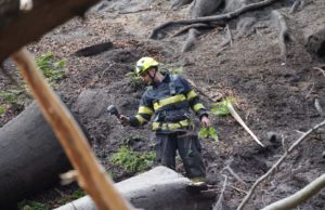Männertagsgruppe löste den Waldbrand in der Böhmischen Schweiz mit Feuerwerkskörpern aus