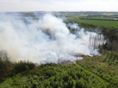 Waldbrand zwischen Oberlichtenau und Bischheim – Feuerwehr im Großeinsatz