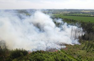 Waldbrand zwischen Oberlichtenau und Bischheim – Feuerwehr im Großeinsatz