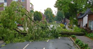 Schwere Unwetter verwüsten Teile von Deutschland und Frankreich