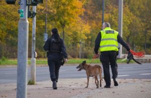 Großeinsatz in Dresden: Polizei sucht nach Kinderfänger!
