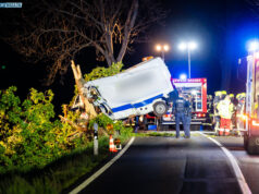 Transporter gegen Baum: 35-jähriger Mann stirbt auf S100 bei Kamenz