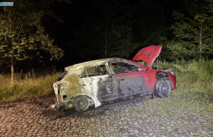 Unheimliche Brandserie – Hecken und PKW gehen in Flammen auf