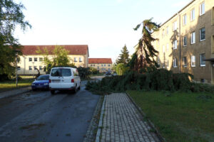 Standbilder.00_13_35_36.Standbild035