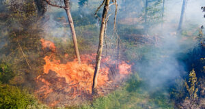 Einsatzbericht: Waldbrand am Brocken, September 2024