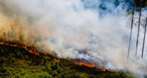 Waldbrand im Harz: Flammen lodern am Königsberg