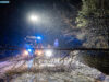 Baum auf Straße – Feuerwehr entschärft Gefahrenstelle