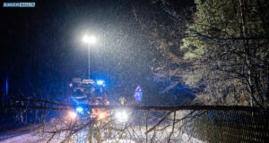 Baum auf Straße – Feuerwehr entschärft Gefahrenstelle