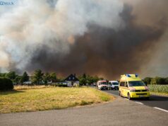 Waldbrand in der Gohrischheide: Entwarnung nach Regen – Aufräumarbeiten laufen