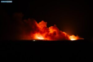 20250703_Waldbrand_Gohrischheide-003