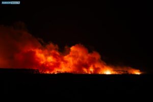 20250703_Waldbrand_Gohrischheide-004