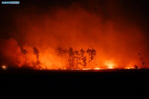 20250703_Waldbrand_Gohrischheide-005