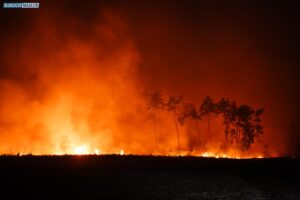 20250703_Waldbrand_Gohrischheide-006