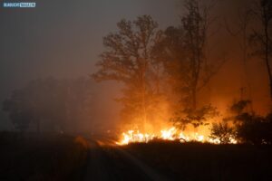 20250703_Waldbrand_Gohrischheide-011