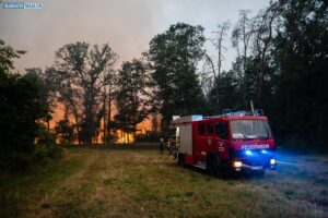 20250703_Waldbrand_Gohrischheide-014