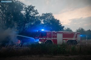 20250703_Waldbrand_Gohrischheide-018