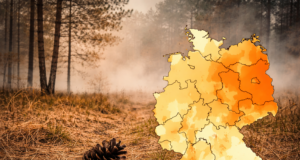 Waldbrandsaison gestartet: bereits Gefahrenstufe 3 aktiv