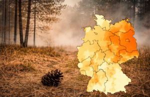 Waldbrandsaison gestartet: bereits Gefahrenstufe 3 aktiv