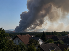 Erneut Großbrand im Föhrenwald in Österreich