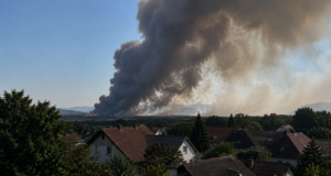 Erneut Großbrand im Föhrenwald in Österreich