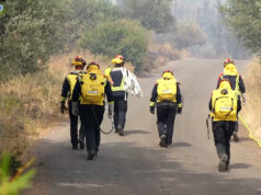 Rückkehr aus der Deliblatska Peščara: EU-Waldbrandmodul GFFF-V DE1 beendet Serbien-Einsatz