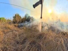 Allein gegen den Vegetationsbrand: Wenn nach 30 Metern der Schlauch zu Ende ist Strahlrohr im Gegenlicht mit Wasserstrahl vor Rauch und Flammen